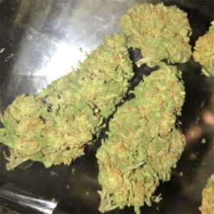 Blue Dream