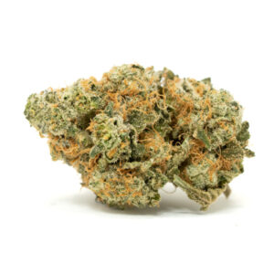 Animal Cookies