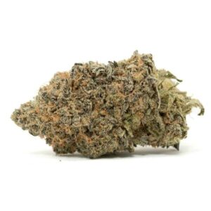 Critical Mass