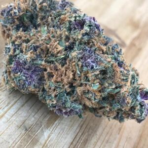 Gelato 45