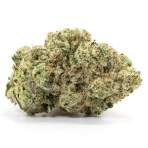 Gorilla Glue