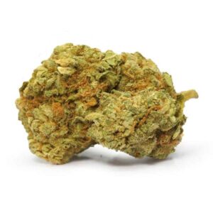 Gorilla Bomb