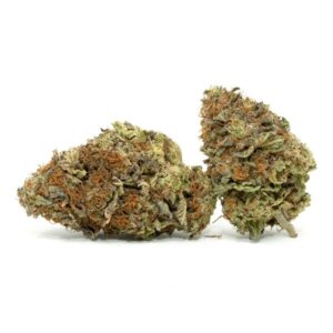 Grand Daddy Purple