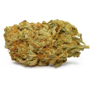 King Louis XIII