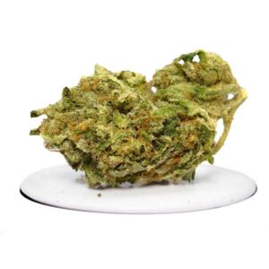 MK Ultra