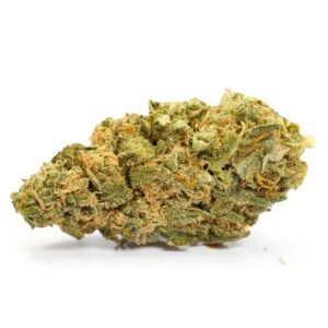 Master Kush