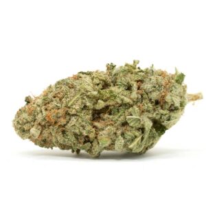 Northern Lights