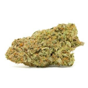 Nuken