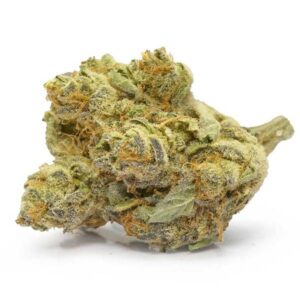 Orange Creamsicle