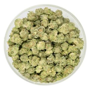 Popcorn Buds (Pine Tar)