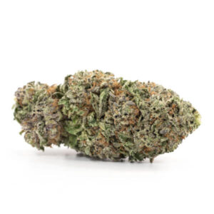 Purple Kush