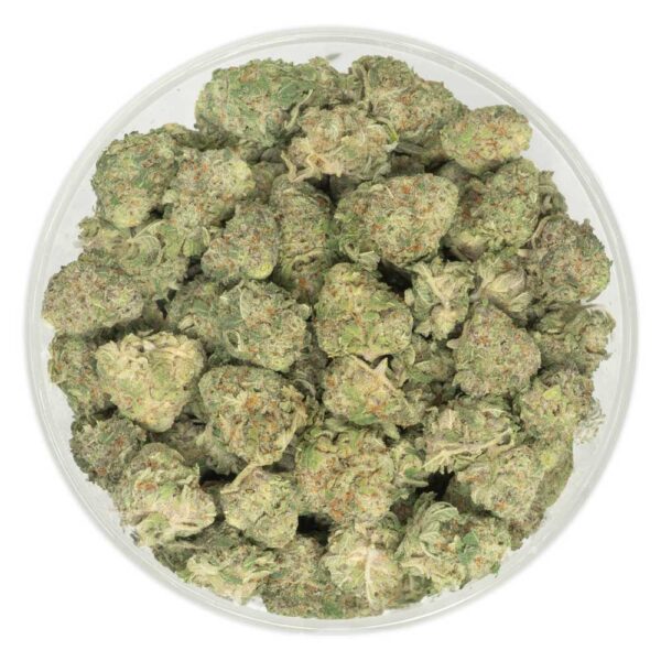 Medium Popcorn Buds (Shishkaberry)