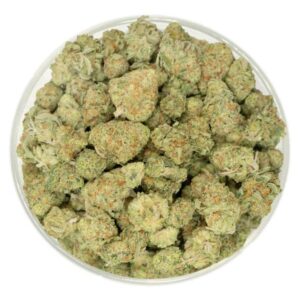 Popcorn Buds (Sunset Sherbet)