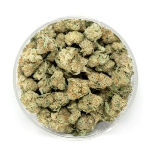 Tropic Thunder (Popcorn)