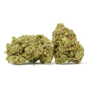 Violator OG Kush