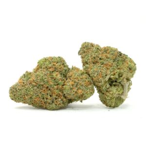 White Rhino