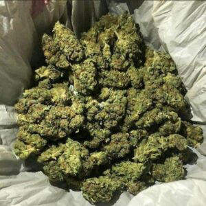 Ak-47