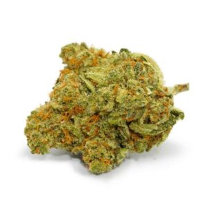 Dutch Treat
