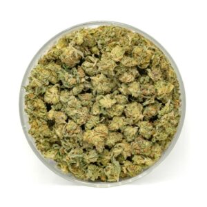 Orange Miracle Alien Cookies (Popcorn)