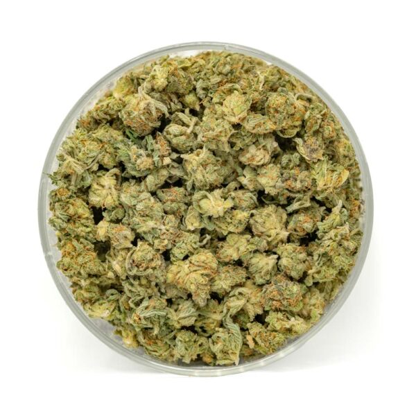 Orange Miracle Alien Cookies (Popcorn)