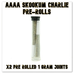 2x Pre Roll – AAAA Skookum Charlie